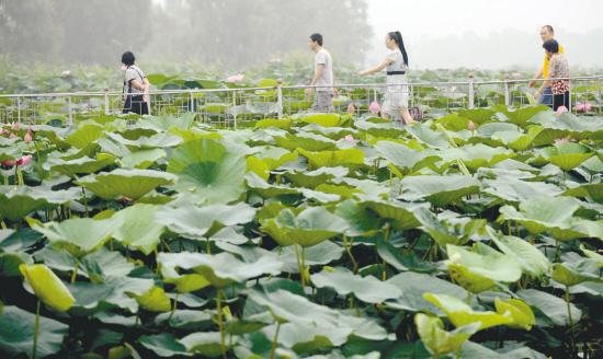 博鱼网页版登入界面-博鱼(中国)